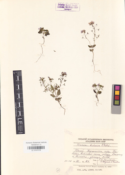 LE 01037376