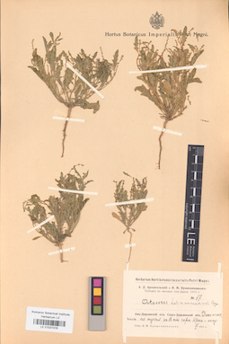 LE 01037378