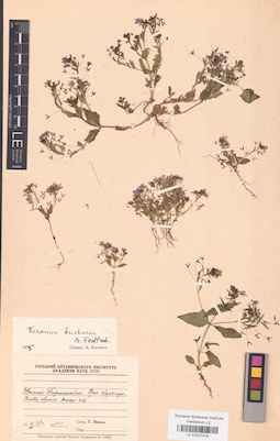 LE 01037379