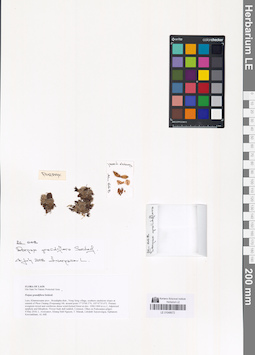 LE 01048672