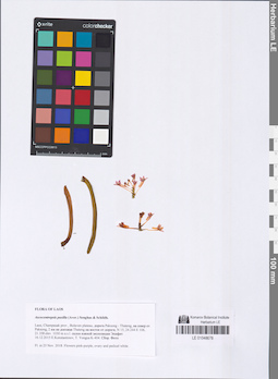 LE 01048678