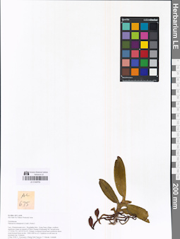 LE 01048793