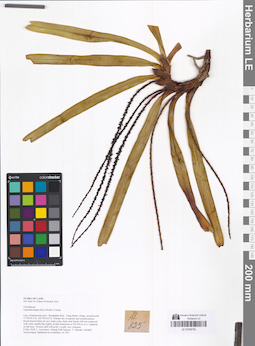 LE 01048792