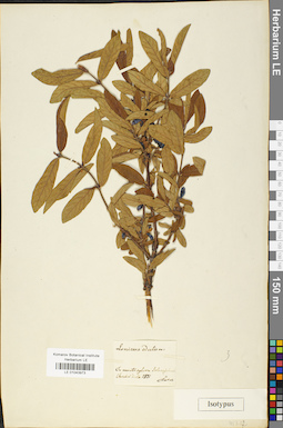 LE 01043973
