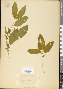 LE 01043980