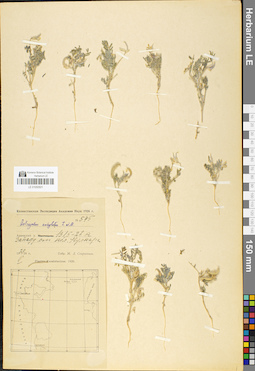 LE 01050501