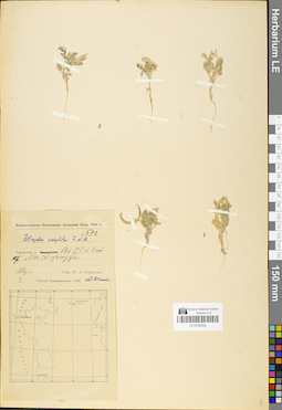 LE 01050502