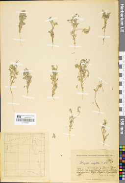 LE 01050503