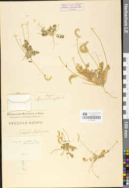 LE 01050505