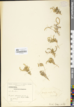 LE 01050506