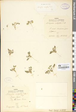 LE 01050507