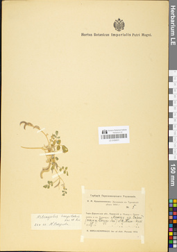 LE 01050511