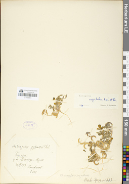 LE 01050514