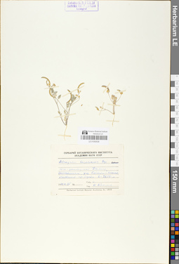 LE 01050539