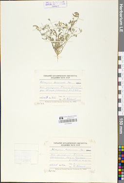 LE 01050540