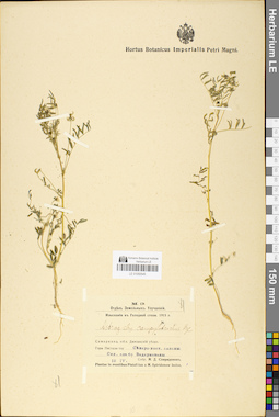LE 01050545
