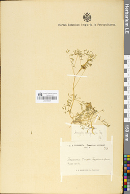 LE 01050547