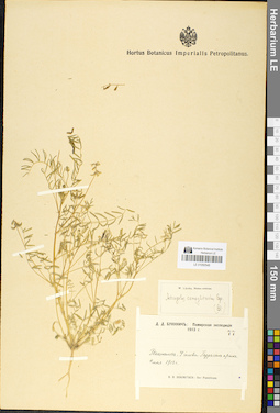 LE 01050548