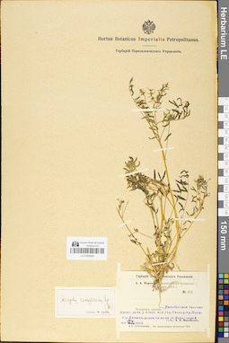 LE 01050549