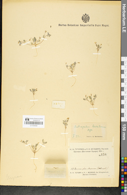 LE 01050558