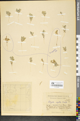 LE 01050565