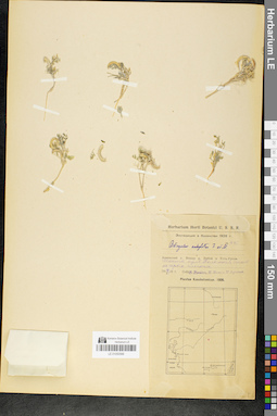 LE 01050566