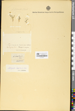 LE 01050572