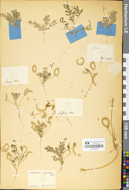 LE 01050578