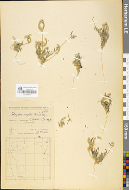 LE 01050579