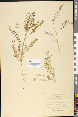 LE 01050587