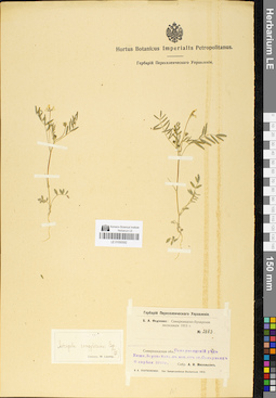 LE 01050592