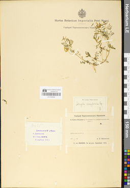 LE 01050594