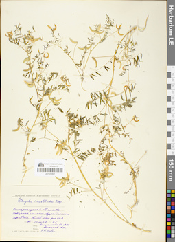 LE 01050601