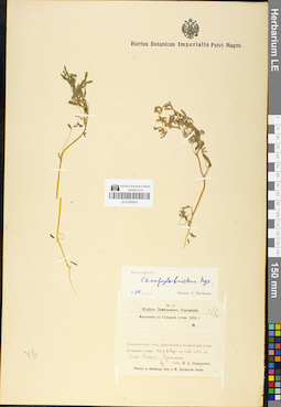 LE 01050603