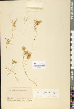 LE 01050607
