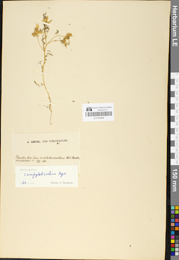 LE 01050608