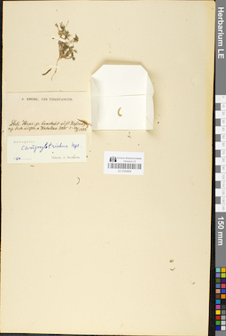 LE 01050609