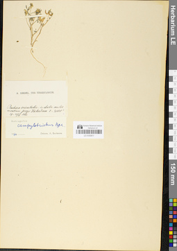 LE 01050611