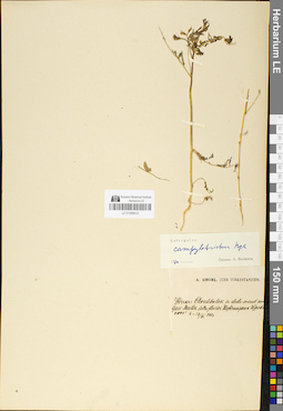LE 01050612