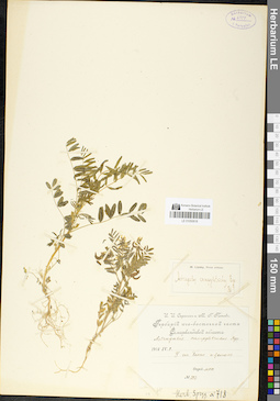 LE 01050618