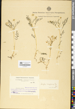 LE 01050619