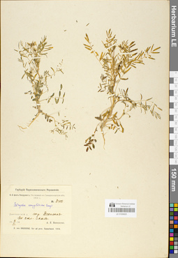 LE 01050620