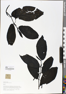 LE 01048585