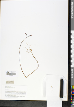 LE 01048692