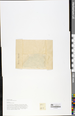 LE 01048726