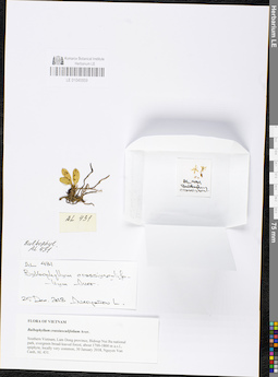 LE 01048859