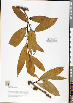 LE 01048892