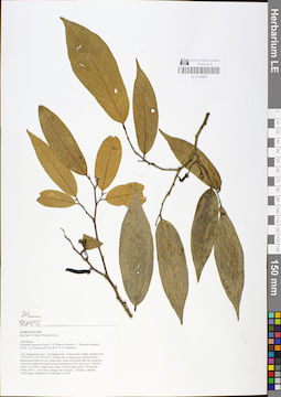 LE 01048893