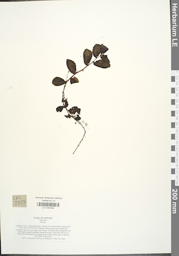 LE 01041643