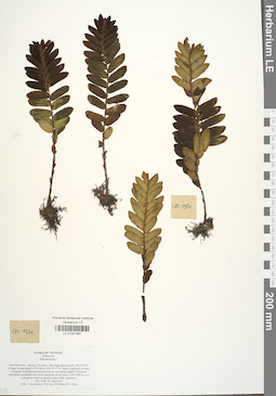 LE 01041687